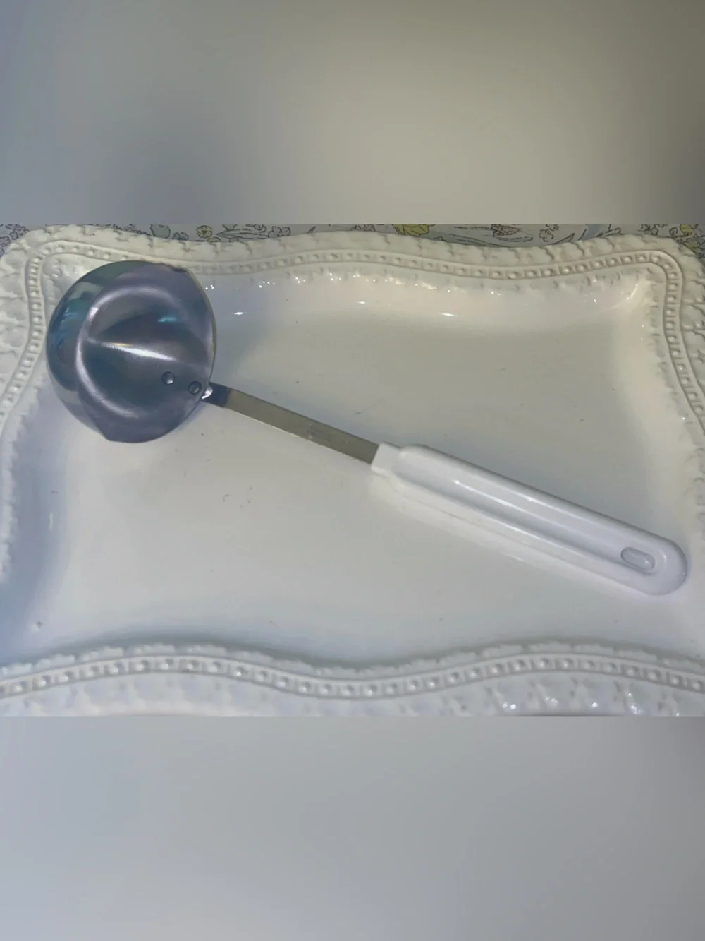 Robinson Stainless Steel Ladle White Plastic Handle Robinson Stainless USA